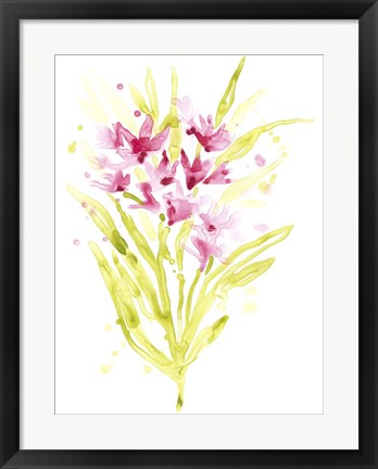 Framed Fuchsia Impulse I Print