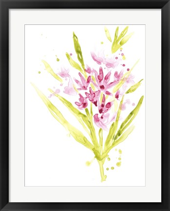 Framed Fuchsia Impulse II Print