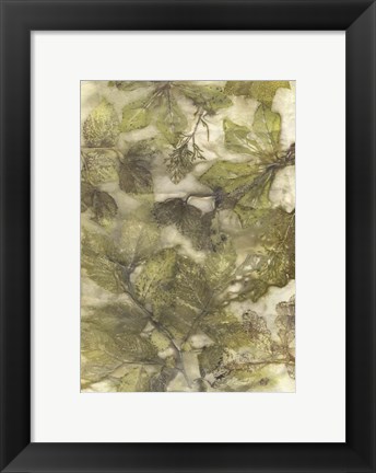 Framed Eco Print III Print