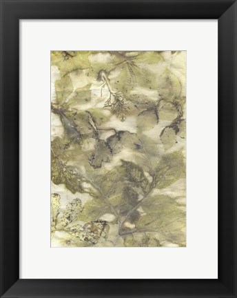 Framed Eco Print VII Print