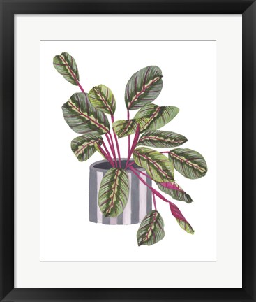 Framed Prayer Plant I Print