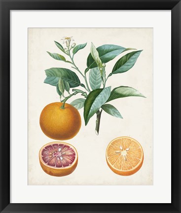 Framed Orange de Malte Print