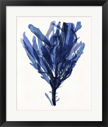 Framed Indigo Ocean IV Print