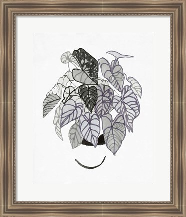 Framed B&amp;W Indoor Plant I Print