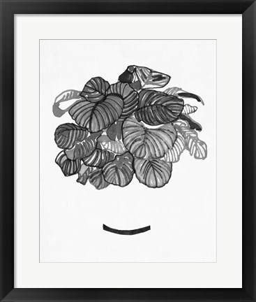 Framed B&amp;W Indoor Plant II Print