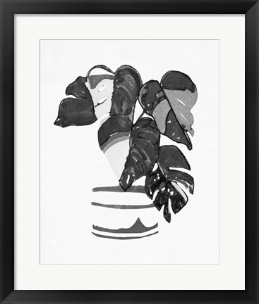 Framed B&amp;W Indoor Plant VI Print