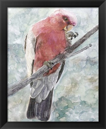 Framed Tropic Parrot I Print