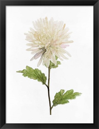 Framed White Blossom IV Print