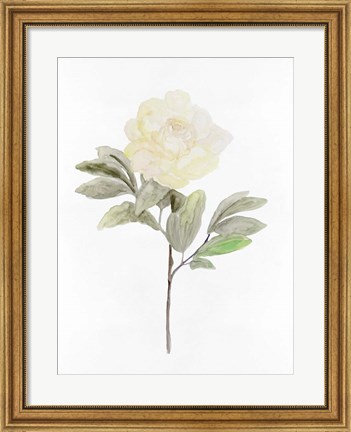 Framed White Blossom V Print