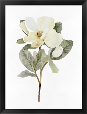 Framed White Blossom VI Print