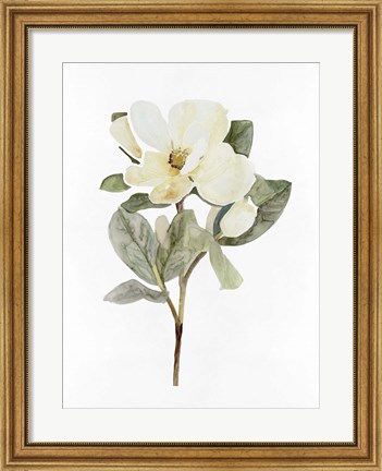 Framed White Blossom VI Print
