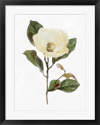 Framed White Blossom VII Print