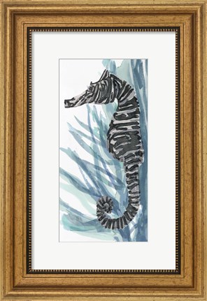 Framed Zebra Seahorse II Print