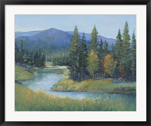 Framed Trout Stream II Print