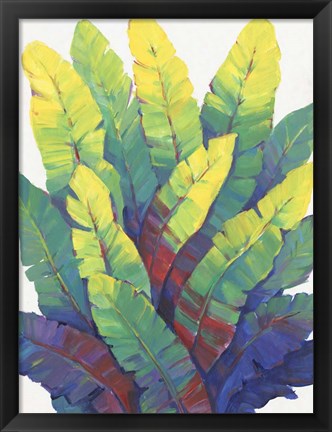 Framed Sunlit Banana Leaves I Print