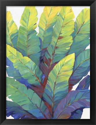 Framed Sunlit Banana Leaves II Print