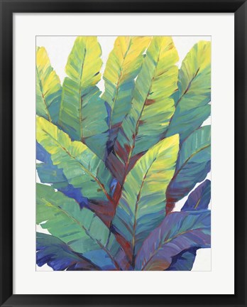 Framed Sunlit Banana Leaves II Print