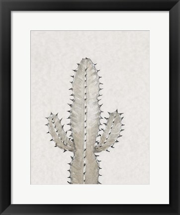 Framed Cactus Study I Print