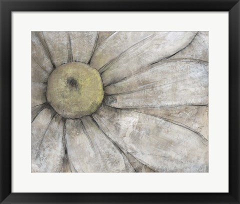 Framed Close-Up Daisy I Print