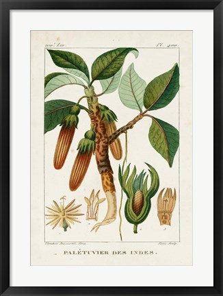 Framed Turpin Foliage &amp; Fruit I Print