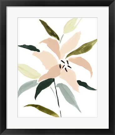 Framed Lily Abstracted I Print