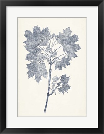 Framed Navy Botanicals I Print