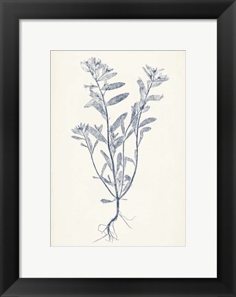 Framed Navy Botanicals II Print