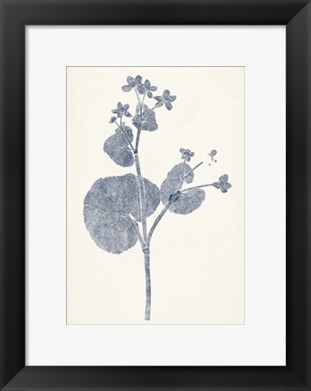 Framed Navy Botanicals VI Print