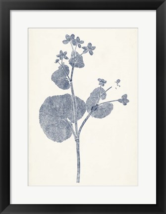 Framed Navy Botanicals VI Print