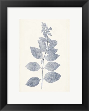 Framed Navy Botanicals IX Print