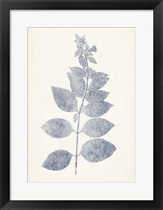 Framed Navy Botanicals IX Print