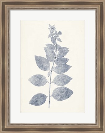 Framed Navy Botanicals IX Print