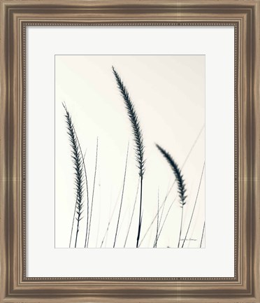 Framed Field Grasses IV BW Crop Print