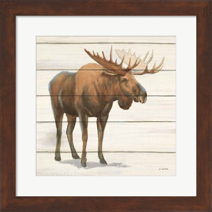 Framed Northern Wild VI Print