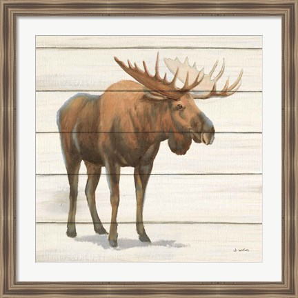 Framed Northern Wild VI Print