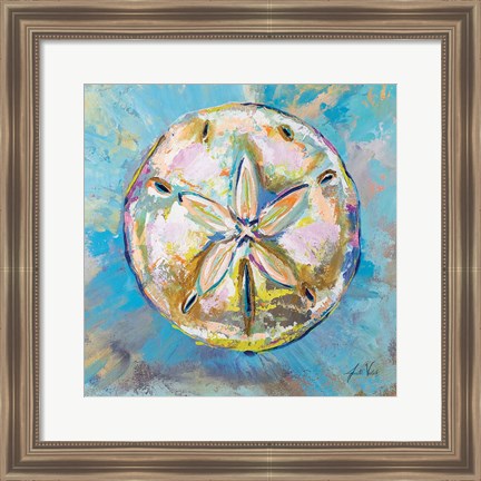 Framed Sand Dollar Print