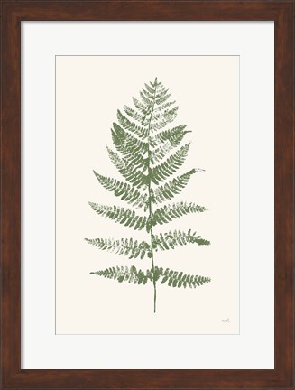 Framed Fern Print II White Crop Print