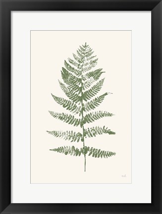 Framed Fern Print II White Crop Print