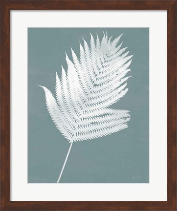 Framed Nature by the Lake Ferns III Gray Mist Crop Print