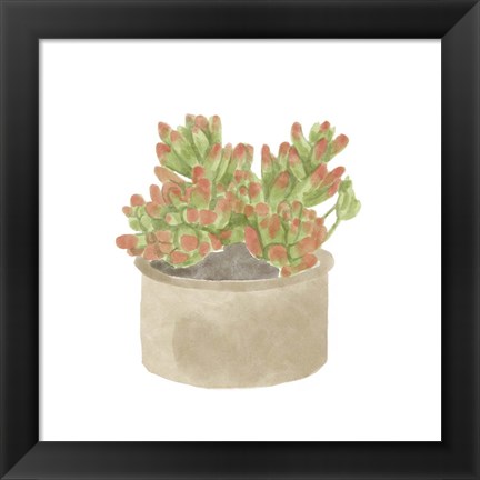 Framed Simple Succulent I Print