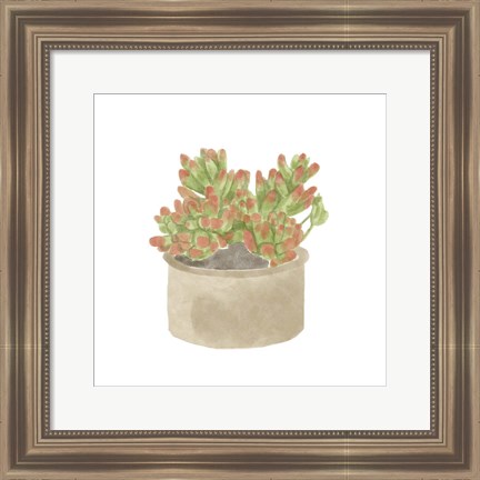Framed Simple Succulent I Print
