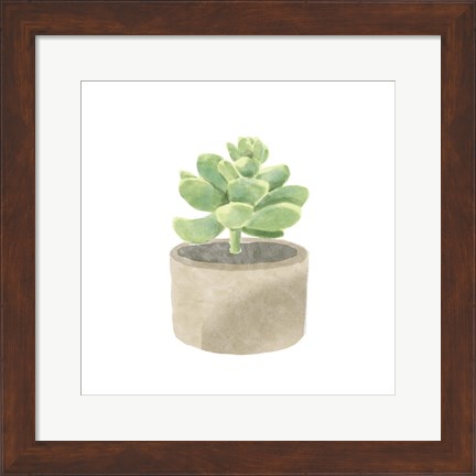 Framed Simple Succulent II Print