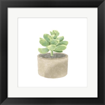 Framed Simple Succulent II Print