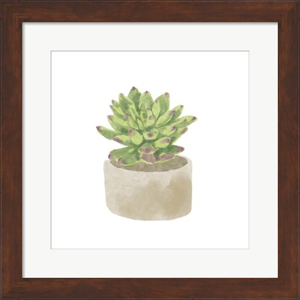 Framed Simple Succulent III Print