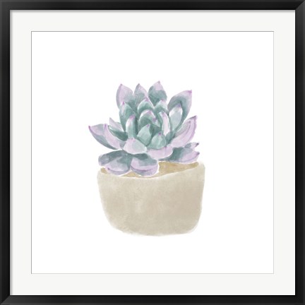 Framed Simple Succulent IV Print