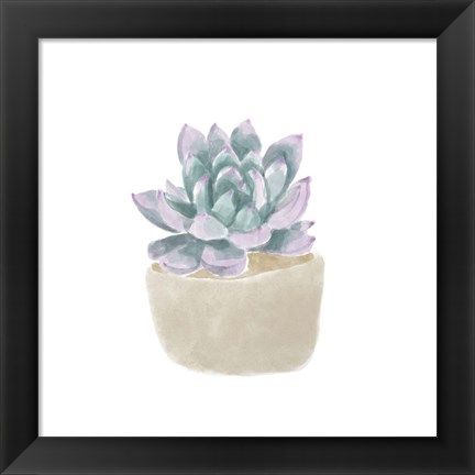 Framed Simple Succulent IV Print