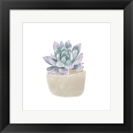 Framed Simple Succulent IV Print