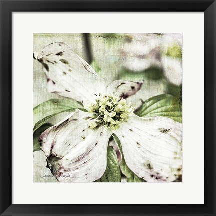 Framed Dogwood Floral Print