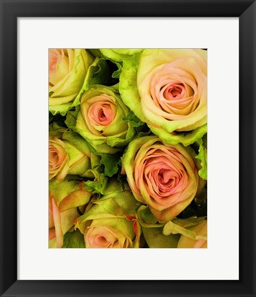 Framed Green &amp; Pink Rose Bouquet Print