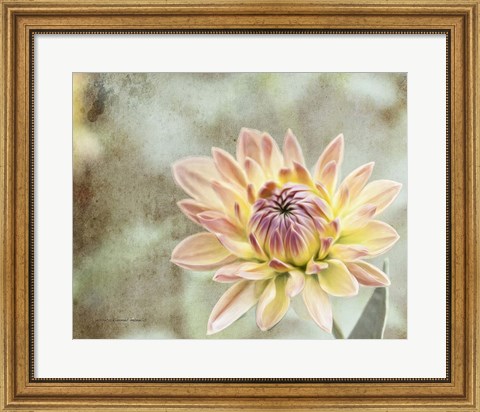 Framed Impression Flower Print